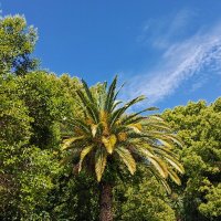 Природа Абхазии :: Татьяна Пальчикова