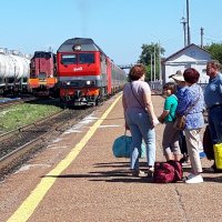 Лето. :: Венера Чуйкова Лето. :: Венера Чуйкова