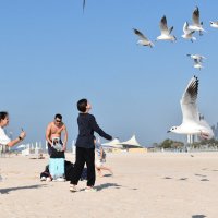 На пляже в Абу-Даби :: Alex182 