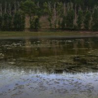 * :: Наталья Покацкая