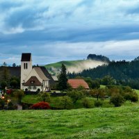 morning :: Elena Wymann morning :: Elena Wymann