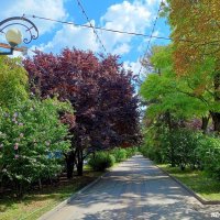 Ростовское лето :: Нина Бутко