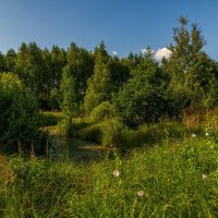 Жара июль 3 :: Андрей Дворников