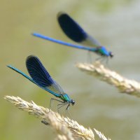 из сегодняшней съемки 5 :: Александр Прокудин из сегодняшней съемки 5 :: Александр Прокудин