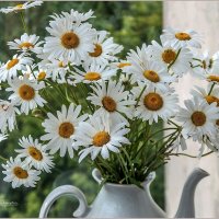 Букет :: Aquarius - Сергей Букет :: Aquarius - Сергей