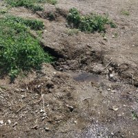 Родничок :: Андрей Хлопонин Родничок :: Андрей Хлопонин