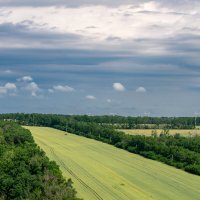 Окрестности :: Игорь Сикорский
