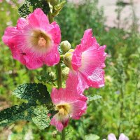 ,,, :: Сергей Тимоновский