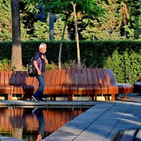 В парке... :: Николай Саржанов