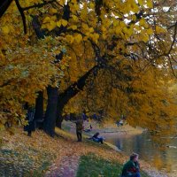 Осенняя зарисовка :: Натали 