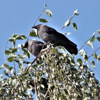 Лето. :: Венера Чуйкова Лето. :: Венера Чуйкова