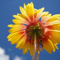 На пороге августа... :: Андрей Заломленков На пороге августа... :: Андрей Заломленков