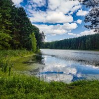 Ижморский пруд :: Cергей Александров