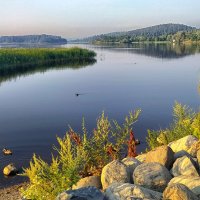 берег :: Ольга Cоломатина