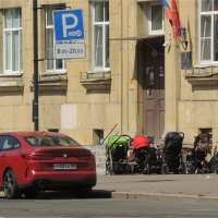 безлошадные :: sv.kaschuk 