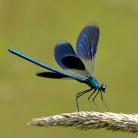 из вчерашней съемки 5 :: Александр Прокудин