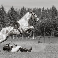 Конкур :: SanSan 