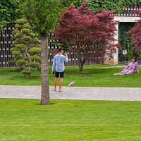 Парк Галицкого :: Игорь Сикорский