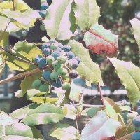 ЛЕ БО 5 (14) :: CLOSE WAYS ALL