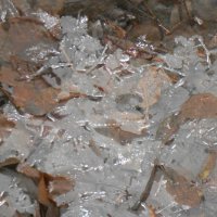 причуды января :: Елена Шаламова