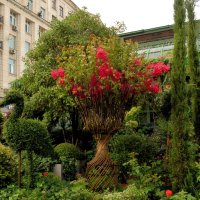 Фестиваль Лето в Москве" продолжается. :: Татьяна Помогалова