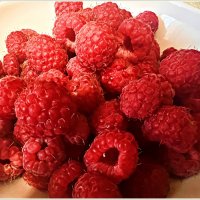 Малинка. :: Валерия Комова Малинка. :: Валерия Комова