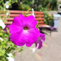 ,,, :: Сергей Тимоновский