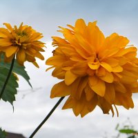 Когда кончается июль... :: Андрей Заломленков Когда кончается июль... :: Андрей Заломленков