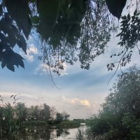 Река Дон :: Оксана Н.