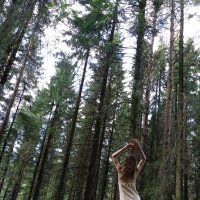 Дух леса :: Светлана Лапка