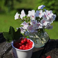 Летняя композиция с флоксами.. :: Татьян@ Ивановна Летняя композиция с флоксами.. :: Татьян@ Ивановна