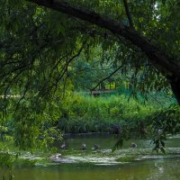 ***** :: юрий поляков ***** :: юрий поляков