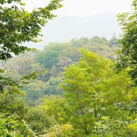 Южный пейзаж :: Татьяна Тюменка