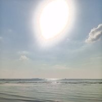 Залив :: Сапсан Залив :: Сапсан