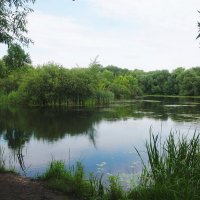 Островок :: Лидия Бусурина