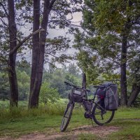 Из дальних странствий возвратясь :: Сергей Цветков Из дальних странствий возвратясь :: Сергей Цветков