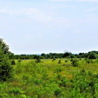 Алатырь. Западные окрестности города. :: Пётр Чернега