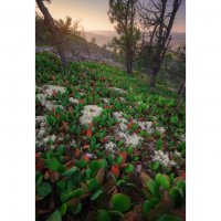 * :: Александр Иванов