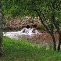 Ручей Солоник (Вайе) :: Александр Ильчевский 