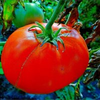 РЕКОРДСМЕН :: Юрий Владимирович 34