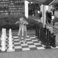 Лето в Москве. Шахматный сквер :: Дмитрий Никитин