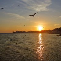 Море, чайки... :: Эля Юрасова