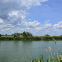 Местная река. :: Виктор Местная река. :: Виктор