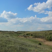 В степи. :: Виктор 