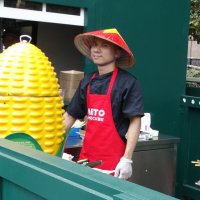 На фестивале Вьетнамской культуры на Манежной :: svk * На фестивале Вьетнамской культуры на Манежной :: svk *