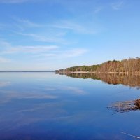 Ясный апрель. :: Лия ☼