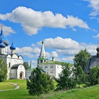 Суздаль. Кремль. :: Михаил Свиденцов