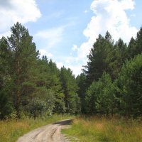 дорога... :: Андрей Катков