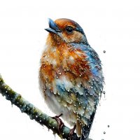 После дождика :: Freddy 97