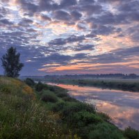 **** :: Елизавета .